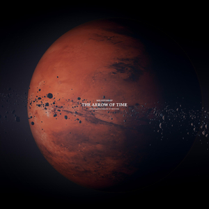 美女捆绑✅免费网站
